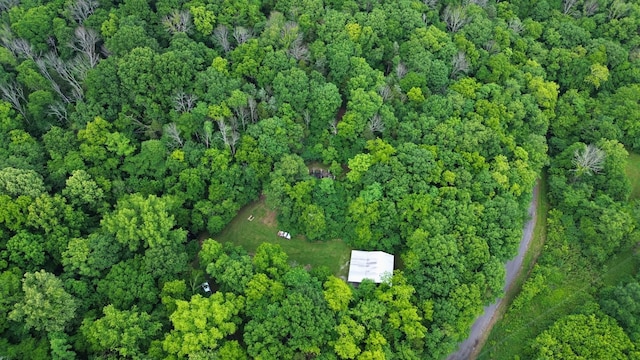 1291 Johnson Hollow Rd, Watertown, TN 37184 - photo 17