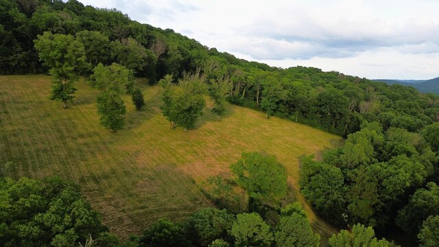 1291 Johnson Hollow Rd, Watertown, TN 37184 - photo 27