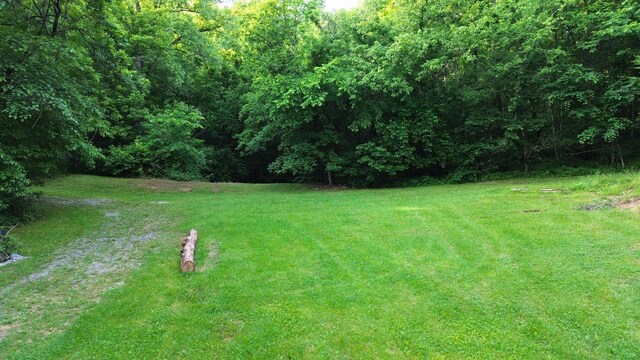 1291 Johnson Hollow Rd, Watertown, TN 37184 - photo 25