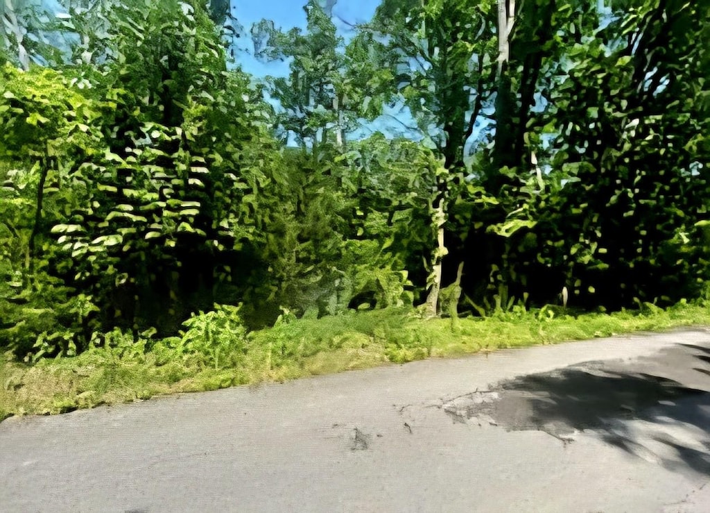19 Harbor Pointe Dr, Silver Point, TN 38582