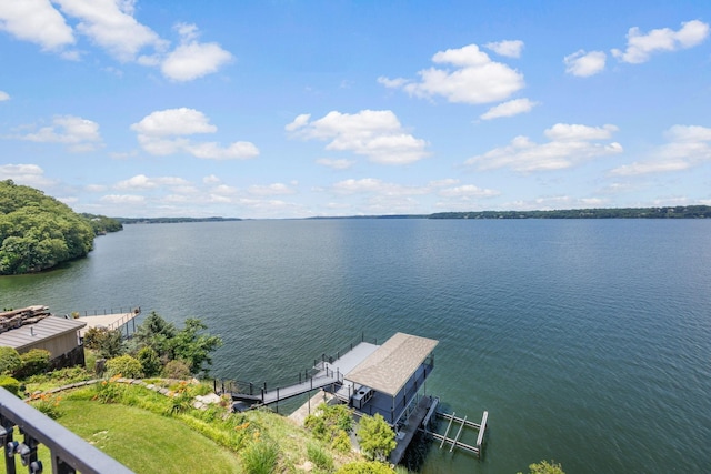521 Wilson Lake Dr, Muscle Shoals, AL 35661 - photo 58
