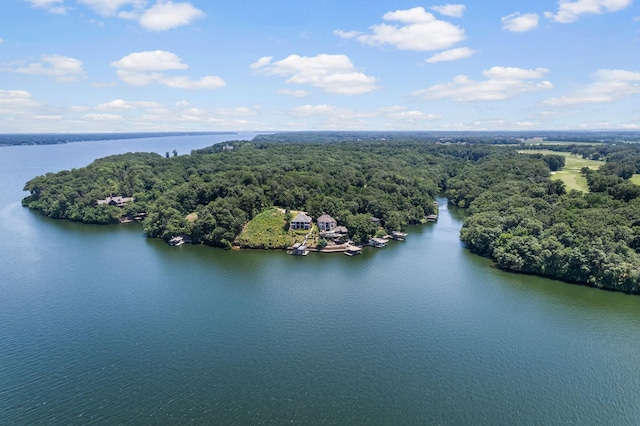 521 Wilson Lake Dr, Muscle Shoals, AL 35661 - photo 6