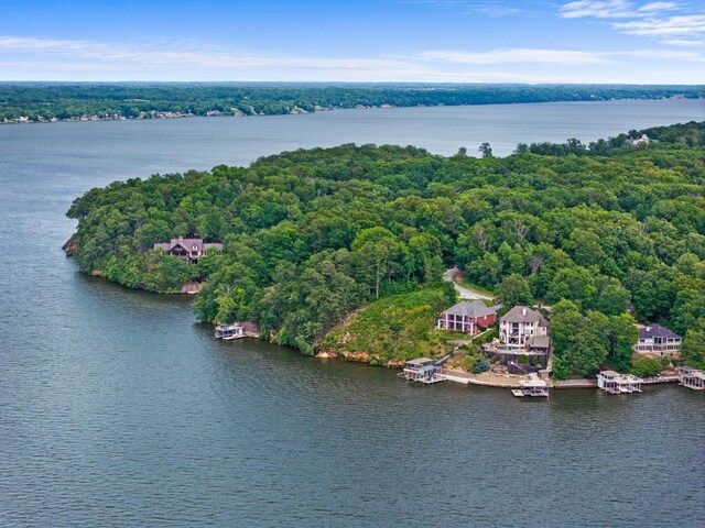 521 Wilson Lake Dr, Muscle Shoals, AL 35661 - photo 80