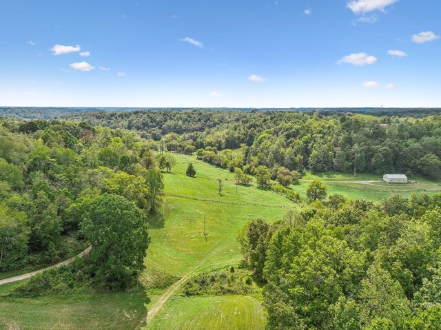 0 Young Rd, Pulaski, TN 38478 - photo 12