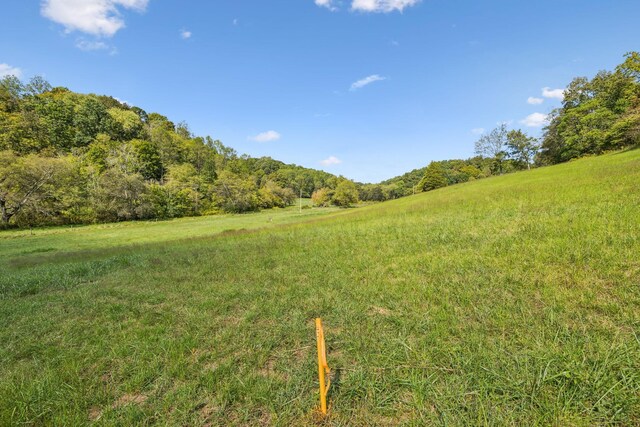 0 Young Rd, Pulaski, TN 38478 - photo 10