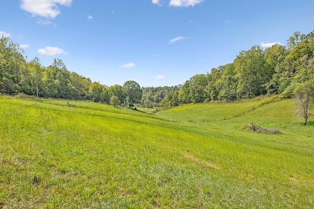 0 Young Rd, Pulaski, TN 38478 - photo 5
