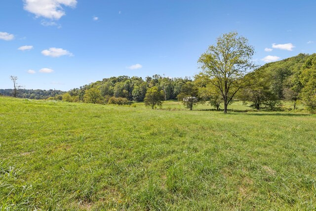 0 Young Rd, Pulaski, TN 38478 - photo 11