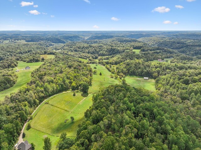0 Young Rd, Pulaski, TN 38478 - photo 7