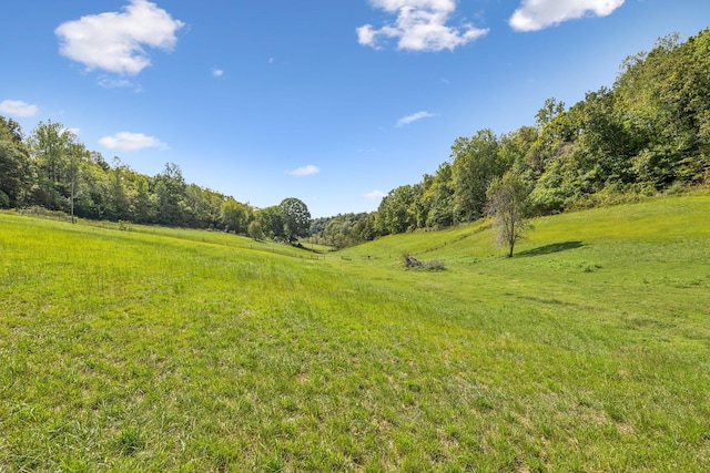 0 Young Rd, Pulaski, TN 38478 - photo 3