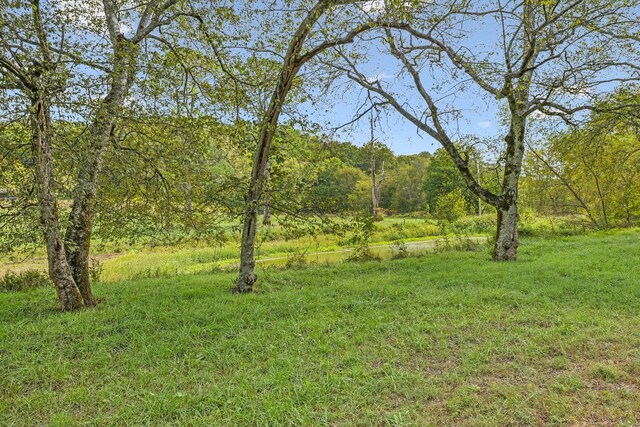 0 Young Rd, Pulaski, TN 38478 - photo 6