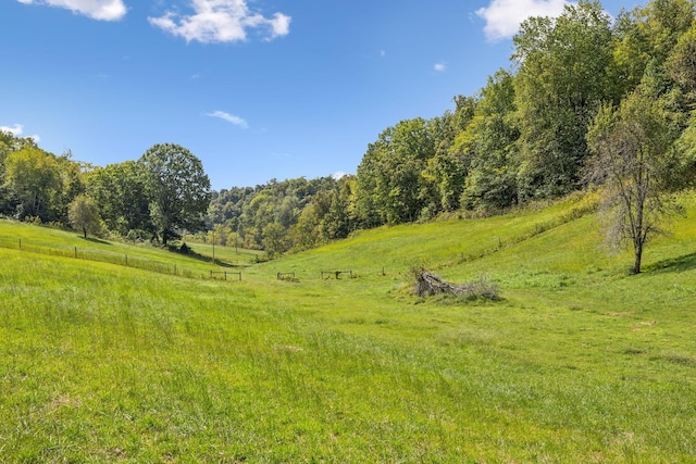 0 Young Rd, Pulaski, TN 38478 - photo 4