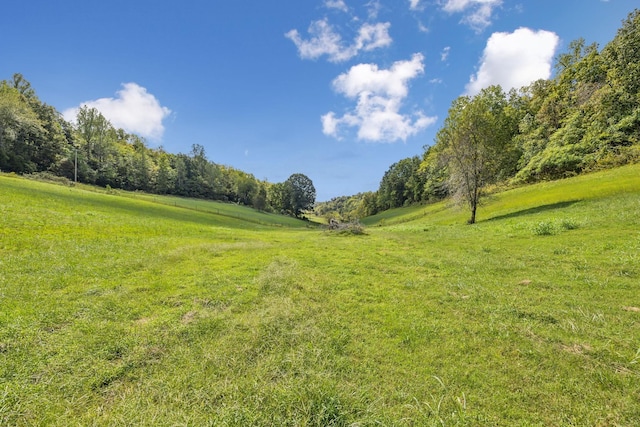 0 Young Rd, Pulaski, TN 38478 - photo 2