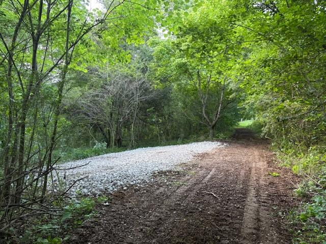 0 Roberts Ridge Rd, Manchester, TN 37355 - photo 11