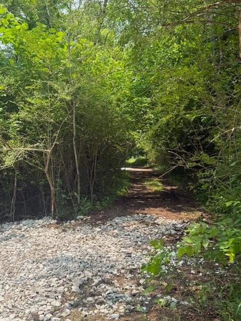 0 Roberts Ridge Rd, Manchester, TN 37355 - photo 1
