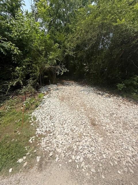 0 Roberts Ridge Rd, Manchester, TN 37355 - photo 7