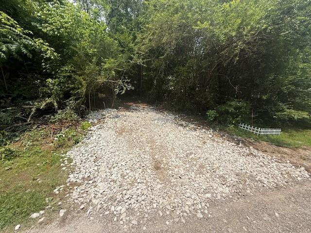 0 Roberts Ridge Rd, Manchester, TN 37355 - photo 8