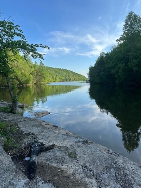 0 Roberts Ridge Rd, Manchester, TN 37355 - photo 20