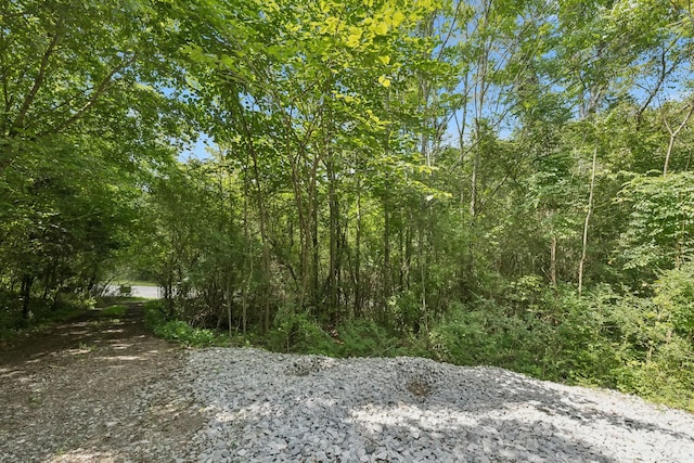 0 Roberts Ridge Rd, Manchester, TN 37355 - photo 14