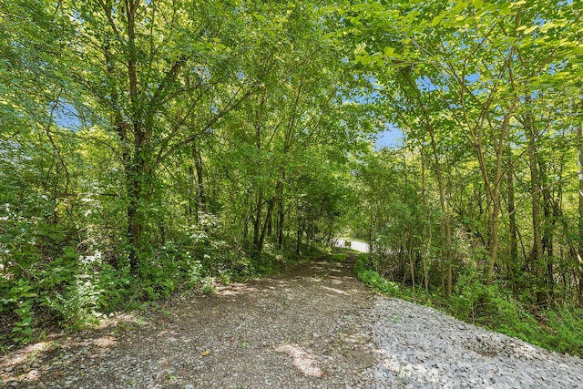 0 Roberts Ridge Rd, Manchester, TN 37355 - photo 13