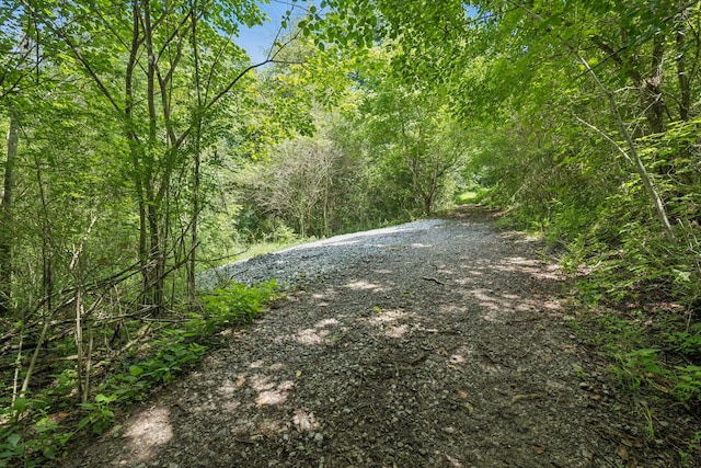 0 Roberts Ridge Rd, Manchester, TN 37355 - photo 12