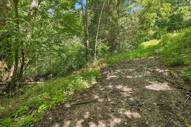 0 Roberts Ridge Rd, Manchester, TN 37355 - photo 15