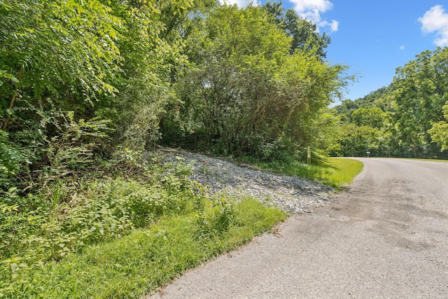 0 Roberts Ridge Rd, Manchester, TN 37355 - photo 5