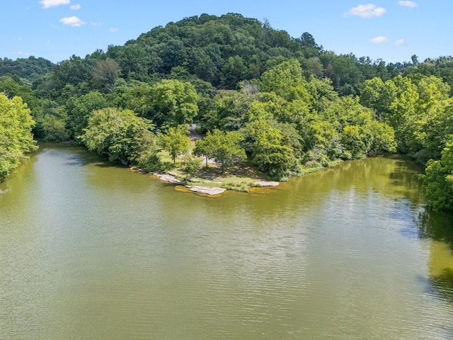 0 Roberts Ridge Rd, Manchester, TN 37355 - photo 28
