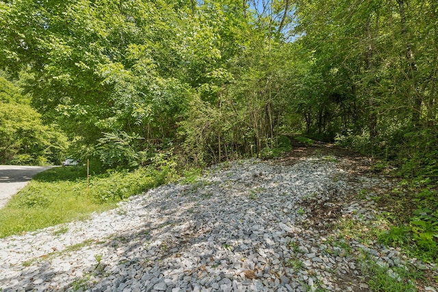 0 Roberts Ridge Rd, Manchester, TN 37355 - photo 6
