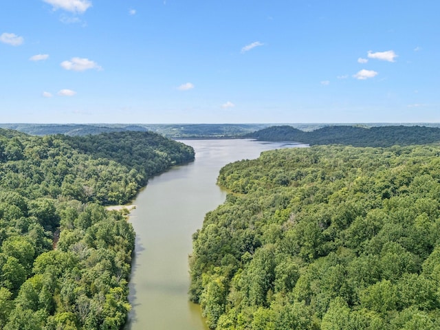 0 Roberts Ridge Rd, Manchester, TN 37355 - photo 33