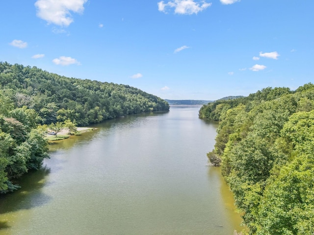0 Roberts Ridge Rd, Manchester, TN 37355 - photo 29