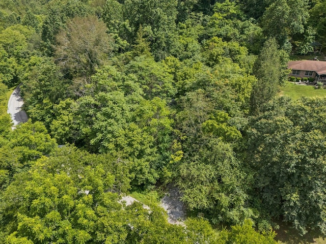 0 Roberts Ridge Rd, Manchester, TN 37355 - photo 31