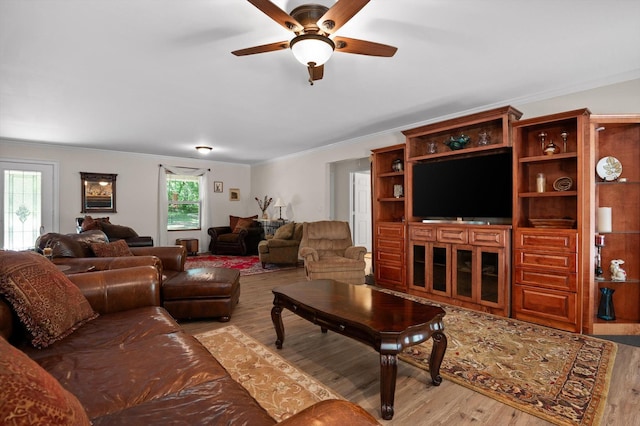 204 Chapman Ct, La Fayette, GA 30728 - living room with wood finished floors, ornamental molding, and a ceiling fan