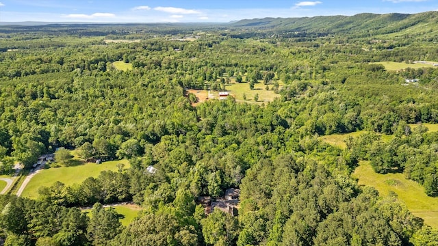204 Chapman Ct, La Fayette, GA 30728 - aerial view of property and surrounding area with a heavily wooded area