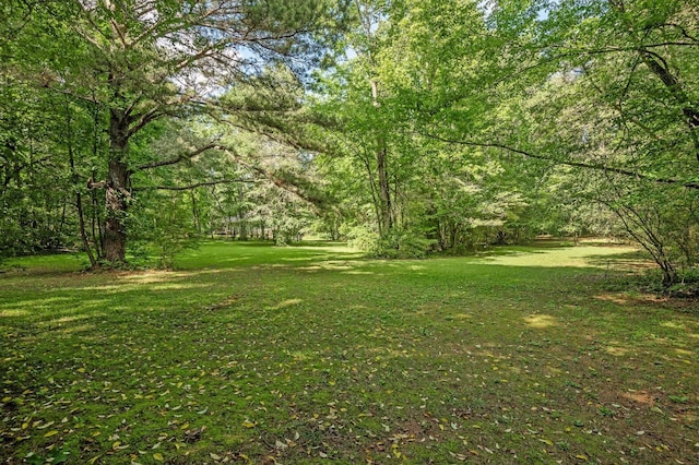 204 Chapman Ct, La Fayette, GA 30728 - view of green lawn featuring a wooded view