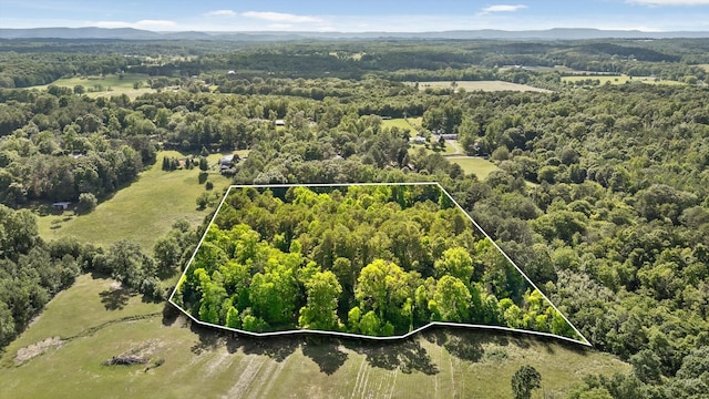 204 Chapman Ct, La Fayette, GA 30728 - aerial overview of property's location with a heavily wooded area, property parcel outlined, and mountains