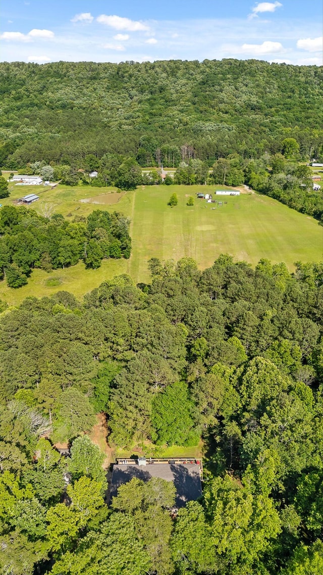 204 Chapman Ct, La Fayette, GA 30728 - bird's eye view of a forest