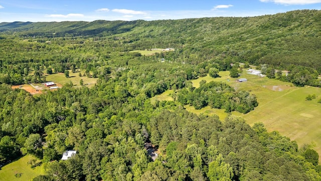 204 Chapman Ct, La Fayette, GA 30728 - aerial view of property and surrounding area with a heavily wooded area