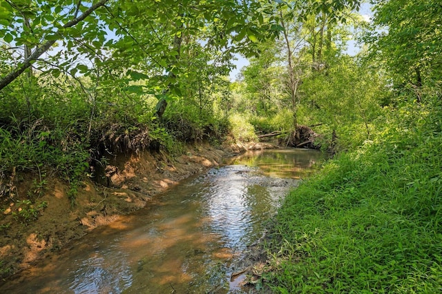 204 Chapman Ct, La Fayette, GA 30728 - water view