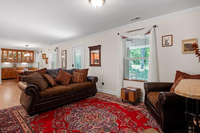 204 Chapman Ct, La Fayette, GA 30728 - living area featuring ornamental molding and light wood-style flooring