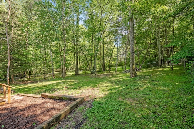 204 Chapman Ct, La Fayette, GA 30728 - view of yard