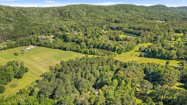 204 Chapman Ct, La Fayette, GA 30728 - aerial view of property's location featuring a heavily wooded area