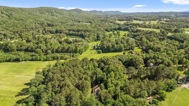 204 Chapman Ct, La Fayette, GA 30728 - aerial view of property and surrounding area with a forest