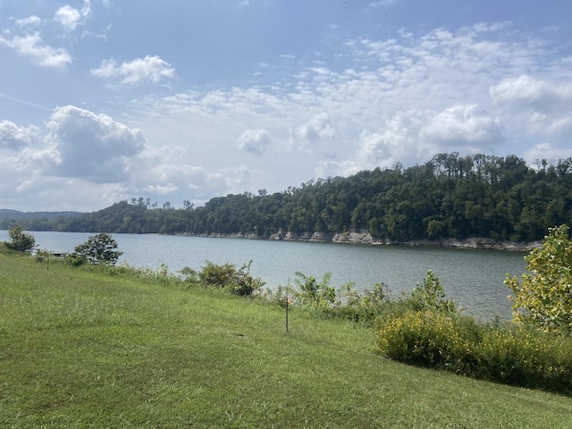 1311 Hardin Bottom River Rd, Clifton, TN 38425