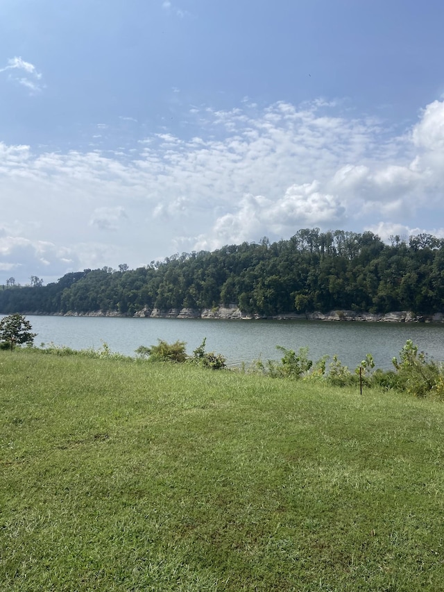 1311 Hardin Bottom River Rd, Clifton, TN 38425