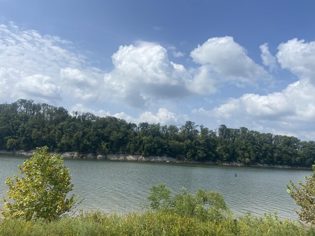 1311 Hardin Bottom River Rd, Clifton, TN 38425