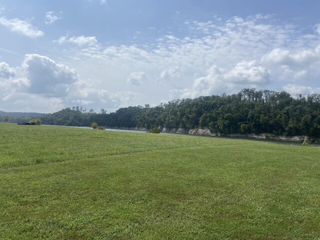 1311 Hardin Bottom River Rd, Clifton, TN 38425