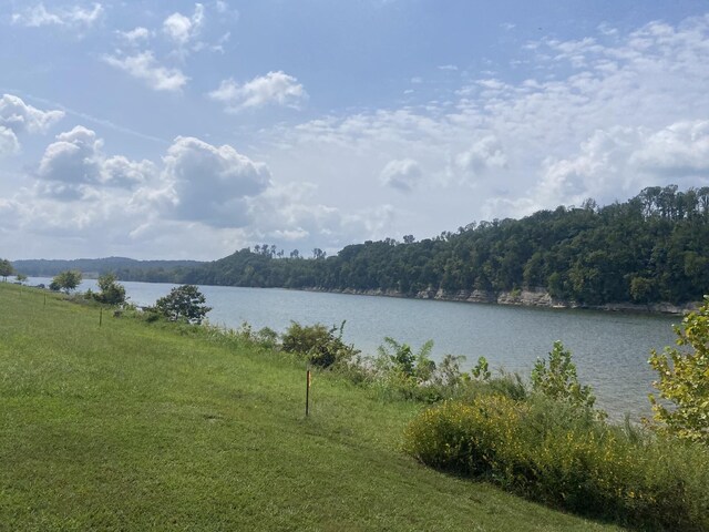 1311 Hardin Bottom River Rd, Clifton, TN 38425