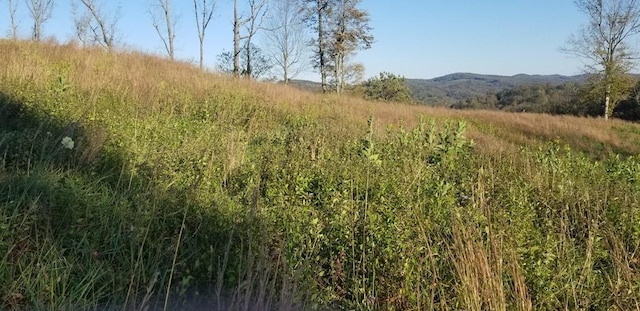0 Swan Ridge Rd, Hilham, TN 38568