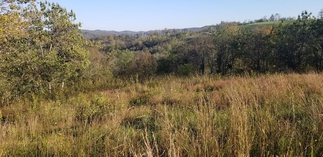 0 Swan Ridge Rd, Hilham, TN 38568