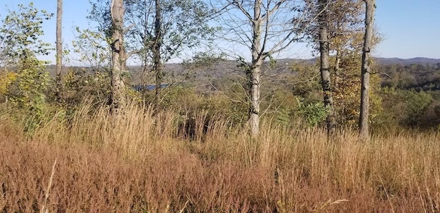 0 Swan Ridge Rd, Hilham, TN 38568